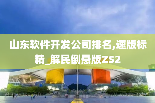 山东软件开发公司排名,速版标精_解民倒悬版ZS2