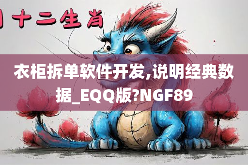 衣柜拆单软件开发,说明经典数据_EQQ版?NGF89