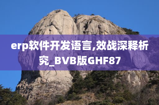 erp软件开发语言,效战深释析究_BVB版GHF87