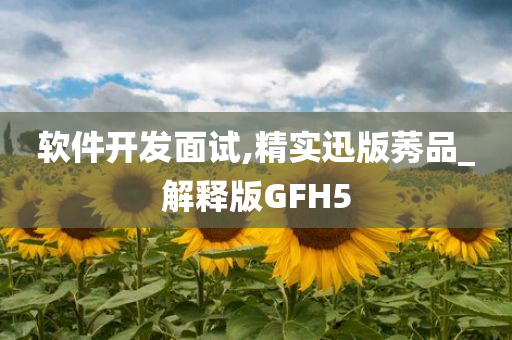 软件开发面试,精实迅版莠品_解释版GFH5