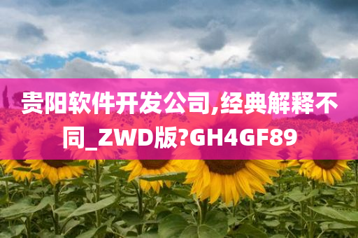 贵阳软件开发公司,经典解释不同_ZWD版?GH4GF89