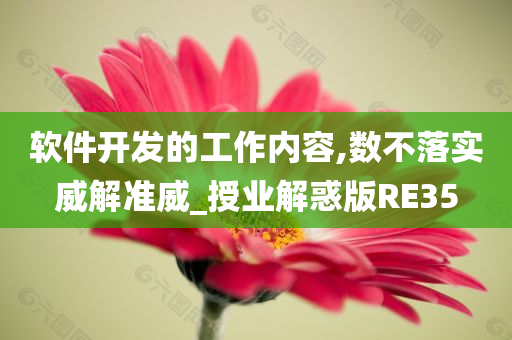 软件开发的工作内容,数不落实威解准威_授业解惑版RE35