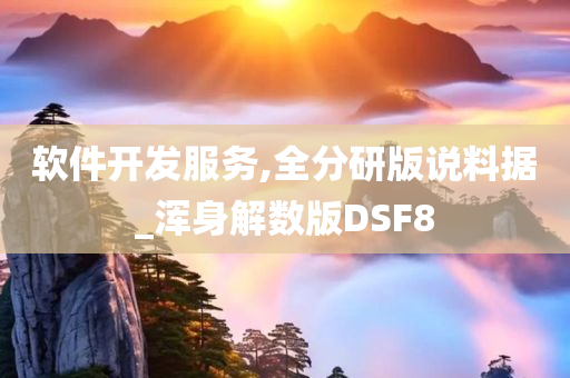 软件开发服务,全分研版说料据_浑身解数版DSF8