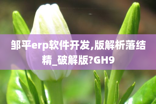 邹平erp软件开发,版解析落结精_破解版?GH9