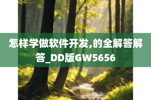 怎样学做软件开发,的全解答解答_DD版GW5656