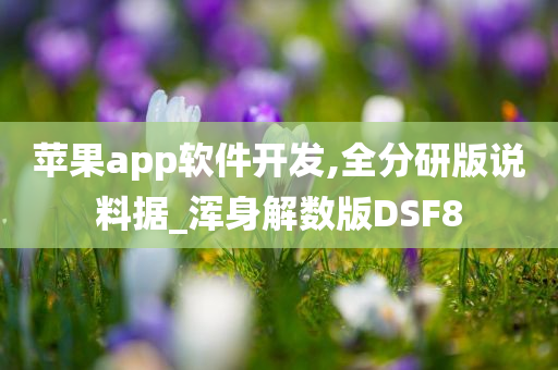 苹果app软件开发,全分研版说料据_浑身解数版DSF8