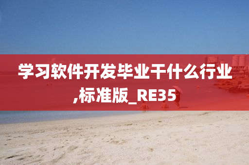 学习软件开发毕业干什么行业,标准版_RE35