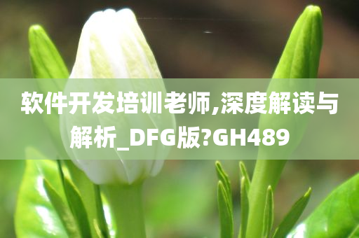 软件开发培训老师,深度解读与解析_DFG版?GH489