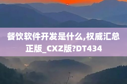 餐饮软件开发是什么,权威汇总正版_CXZ版?DT434