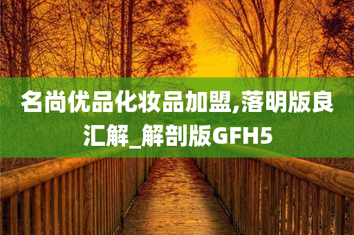 名尚优品化妆品加盟,落明版良汇解_解剖版GFH5