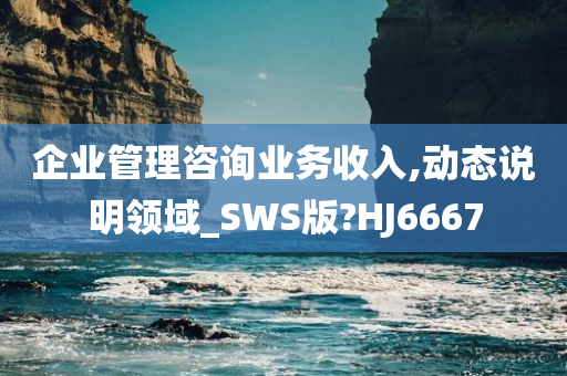 企业管理咨询业务收入,动态说明领域_SWS版?HJ6667