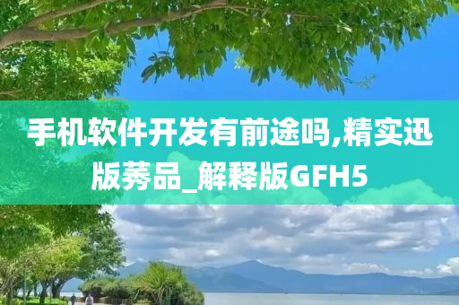 手机软件开发有前途吗,精实迅版莠品_解释版GFH5