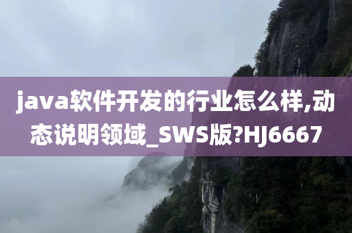 java软件开发的行业怎么样,动态说明领域_SWS版?HJ6667