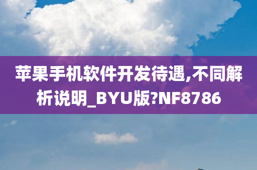 苹果手机软件开发待遇,不同解析说明_BYU版?NF8786