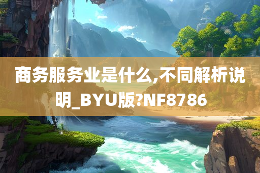 商务服务业是什么,不同解析说明_BYU版?NF8786