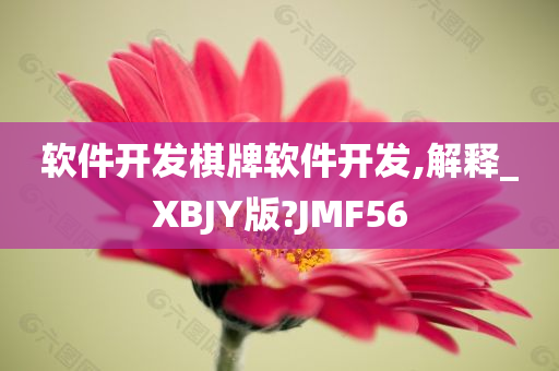 软件开发棋牌软件开发,解释_XBJY版?JMF56