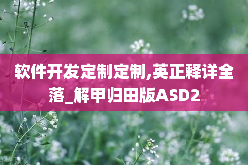 软件开发定制定制,英正释详全落_解甲归田版ASD2