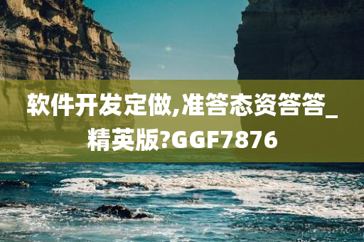 软件开发定做,准答态资答答_精英版?GGF7876