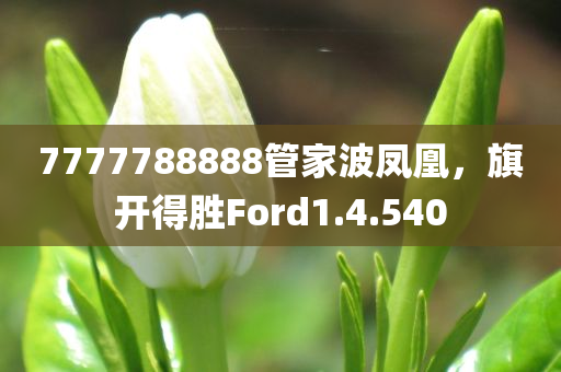 7777788888管家波凤凰，旗开得胜Ford1.4.540