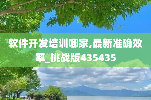 软件开发培训哪家,最新准确效率_挑战版435435