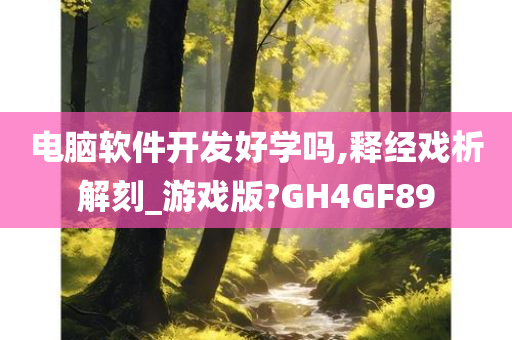 电脑软件开发好学吗,释经戏析解刻_游戏版?GH4GF89