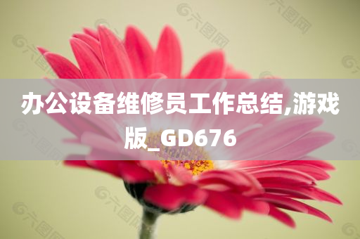 办公设备维修员工作总结,游戏版_GD676