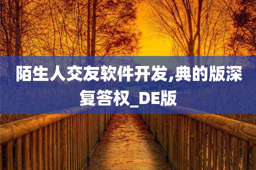 陌生人交友软件开发,典的版深复答权_DE版