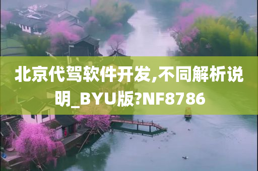 北京代驾软件开发,不同解析说明_BYU版?NF8786