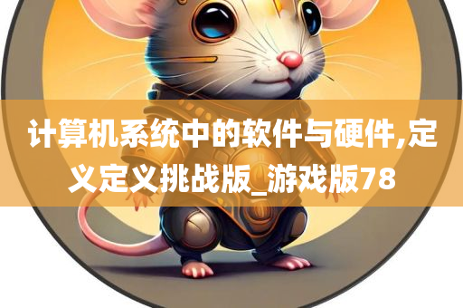 计算机系统中的软件与硬件,定义定义挑战版_游戏版78