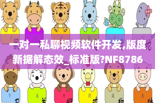 一对一私聊视频软件开发,版度新据解态效_标准版?NF8786