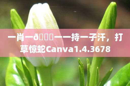 一肖一🐎一一持一子汗，打草惊蛇Canva1.4.3678