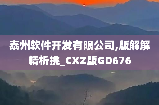 泰州软件开发有限公司,版解解精析挑_CXZ版GD676