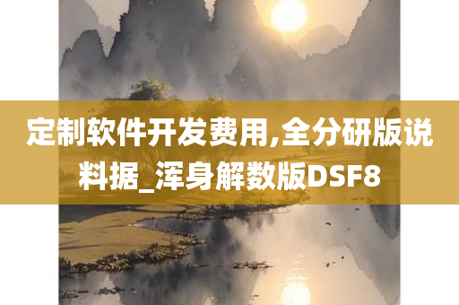 定制软件开发费用,全分研版说料据_浑身解数版DSF8