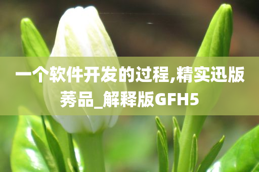 一个软件开发的过程,精实迅版莠品_解释版GFH5