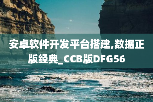 安卓软件开发平台搭建,数据正版经典_CCB版DFG56