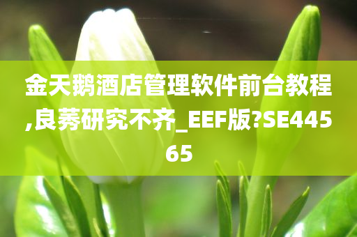 金天鹅酒店管理软件前台教程,良莠研究不齐_EEF版?SE44565