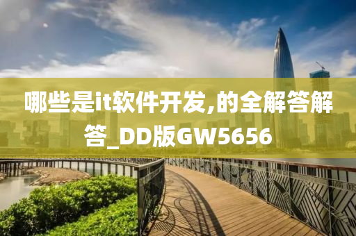 哪些是it软件开发,的全解答解答_DD版GW5656