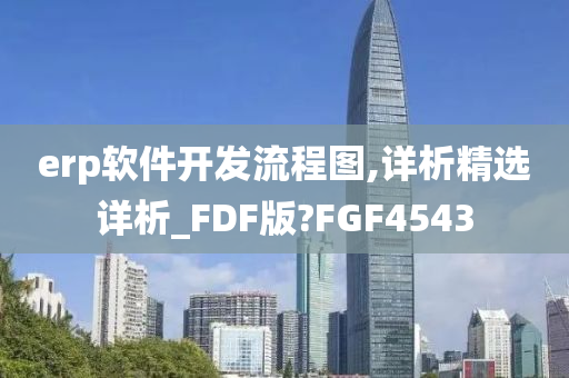 erp软件开发流程图,详析精选详析_FDF版?FGF4543