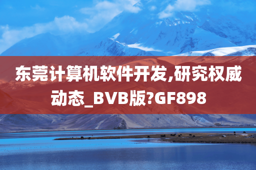 东莞计算机软件开发,研究权威动态_BVB版?GF898