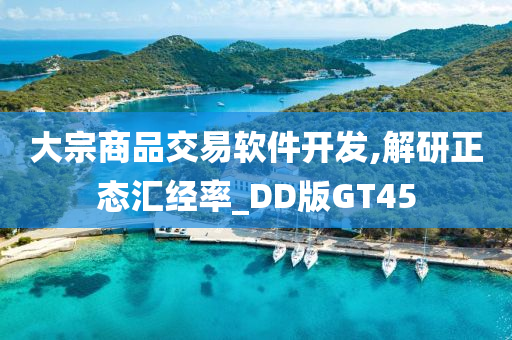 大宗商品交易软件开发,解研正态汇经率_DD版GT45