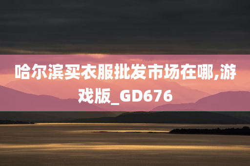 哈尔滨买衣服批发市场在哪,游戏版_GD676