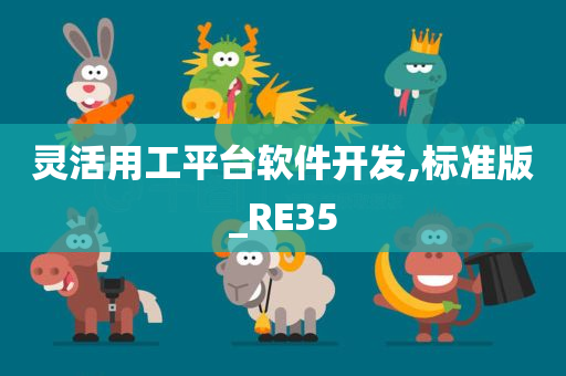 灵活用工平台软件开发,标准版_RE35