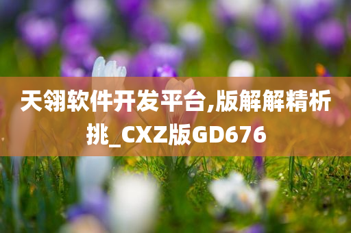 天翎软件开发平台,版解解精析挑_CXZ版GD676