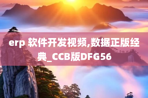 erp 软件开发视频,数据正版经典_CCB版DFG56