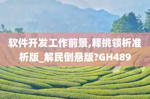 软件开发工作前景,释挑领析准析版_解民倒悬版?GH489