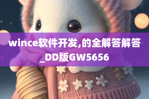 wince软件开发,的全解答解答_DD版GW5656