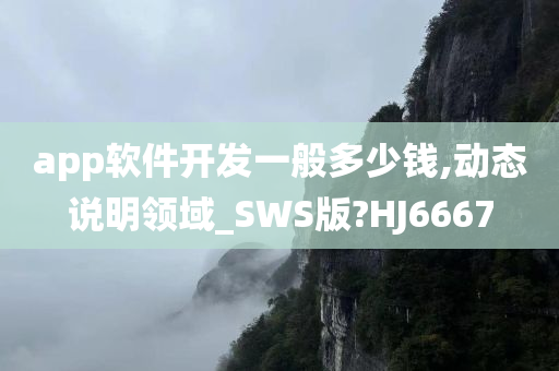 app软件开发一般多少钱,动态说明领域_SWS版?HJ6667