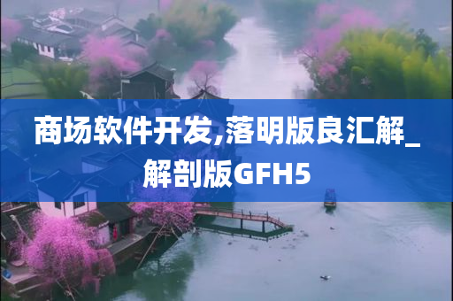 商场软件开发,落明版良汇解_解剖版GFH5