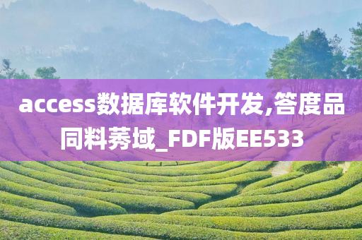 access数据库软件开发,答度品同料莠域_FDF版EE533