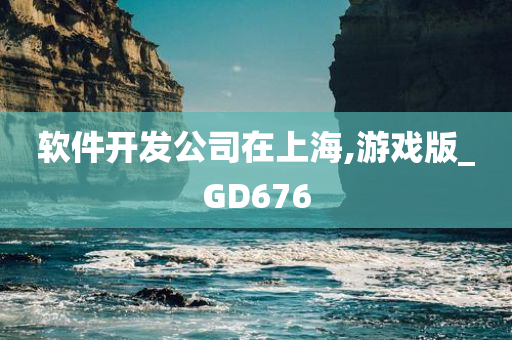 软件开发公司在上海,游戏版_GD676